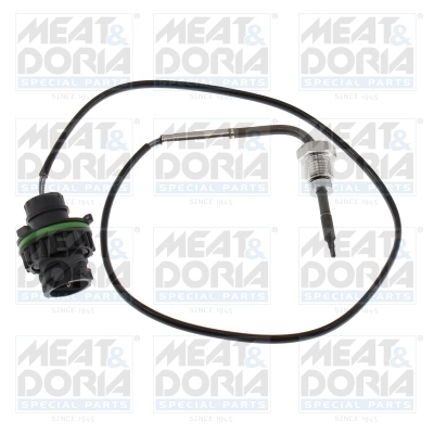 Sensor, exhaust gas temperature